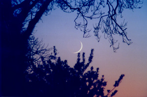 Very young crescent Moon